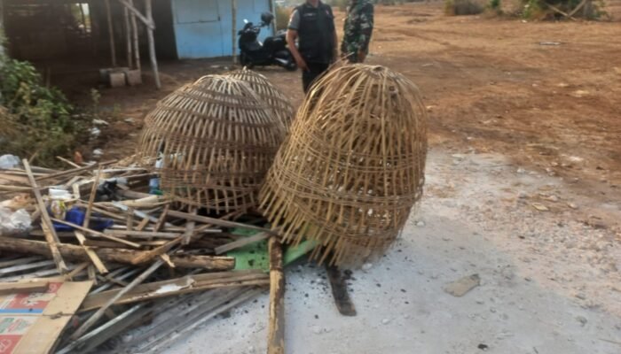 Cegah Judi Sabung Ayam, Polsek Sidayu Bongkar dan Bakar Arena Sabung Ayam di Perbatasan Kertosono–Lasem