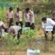 Ecology Policing: Polres Trenggalek Tanam Mangrove dan Lepas Ratusan Tukik di Pantai Taman Kili-Kili