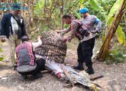 Tindak Laporan Warga, Polresta Sidoarjo Bongkar dan Bakar Arena Sabung Ayam di Dua Lokasi