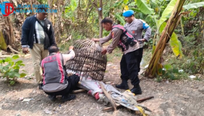 Tindak Laporan Warga, Polresta Sidoarjo Bongkar dan Bakar Arena Sabung Ayam di Dua Lokasi