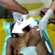 Dendam Berujung Maut, Menantu di Sampang Tebas Leher Mertua Pakai Caluk