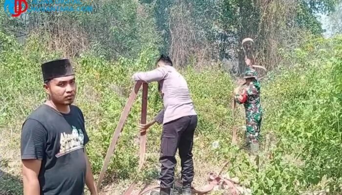 Diduga Akibat Bersih Lahan, Rumpun Bambu di Jrengik Sampang Ludes Terbakar