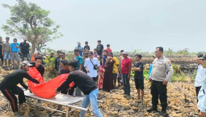 Warga Padenganploso Pucuk Lamongan Digegerkan Penemuan Jasad Nenek, Berawal dari Bau Menyengat di Sawah