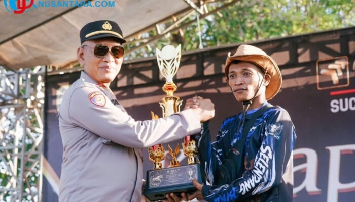 Hasil Kerapan Sapi Sampang 2026: 6 Sapi Terbaik Amankan Tiket Grand Final Piala Presiden