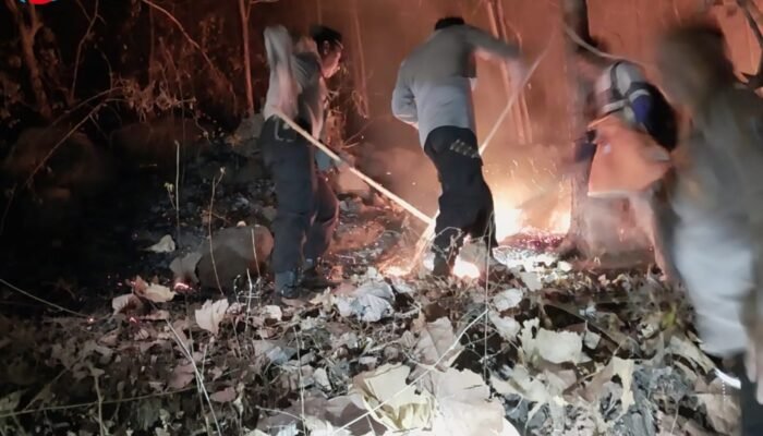Lahan Perhutani di Balong Ponorogo Terbakar, Tim Gabungan Bergerak Cepat Padamkan Api